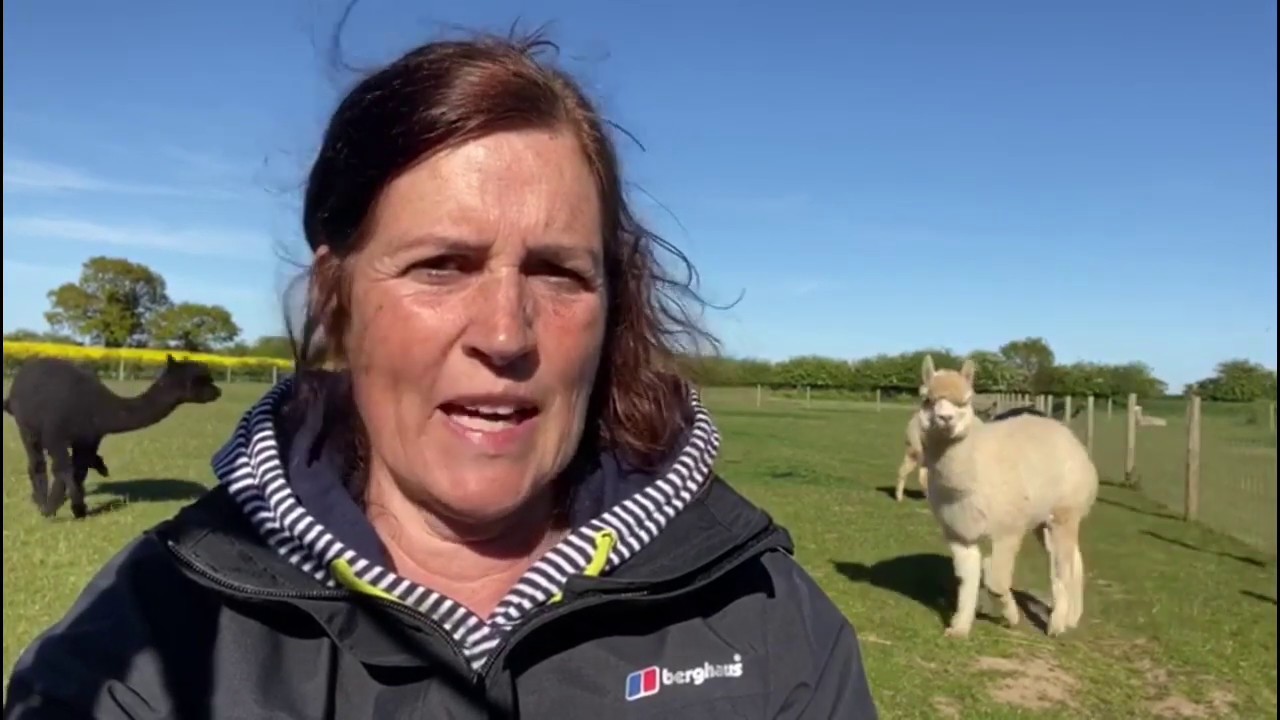 An introduction to Level 1 Animal Science - YouTube