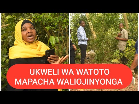 Ukweli Wa Familia Ya Mapacha Waliojinyonga Huko Kwale Wete Sasa Wawekwa Wazi Rasmi Mhe Zawadi Afika