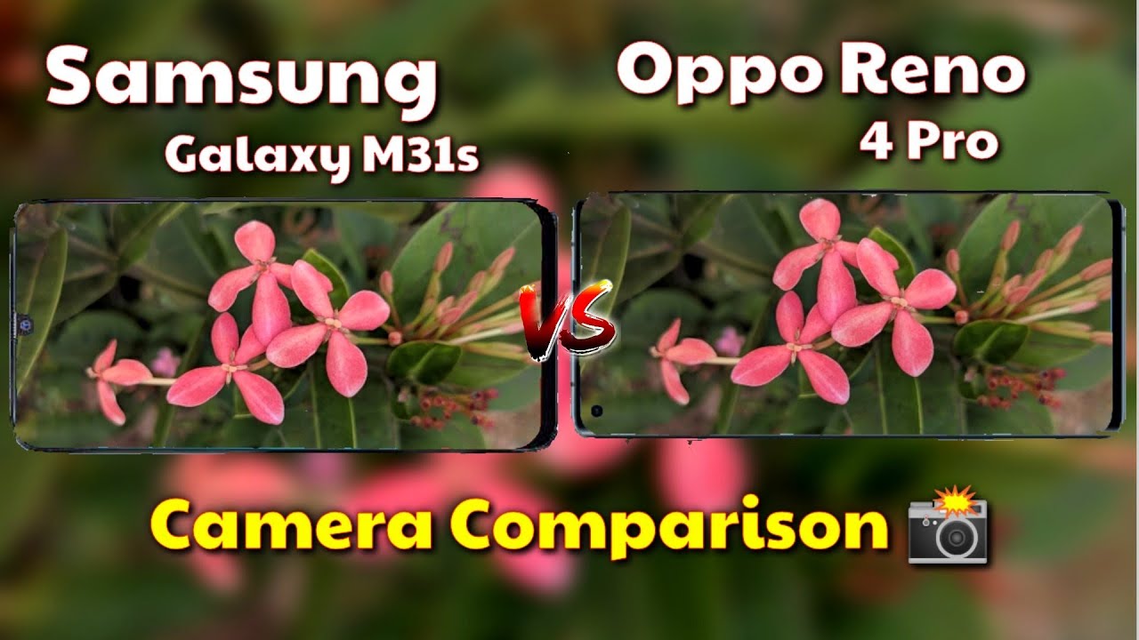 Samsung Galaxy M31s VS Oppo Reno 4 Pro Camera Test Comparison
