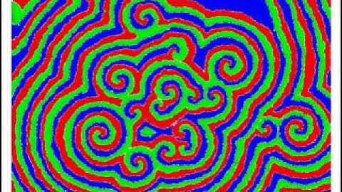 Rock Paper Scissors Cellular Automata