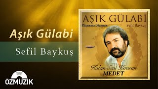 Sefil Baykuş - Aşık Gülabi  Resimi