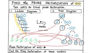 Prime Factorization Doodle Notes