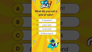 #quizzes #quiz #quiztime #quizinstagram #quiznight #quizzing #quizmaster