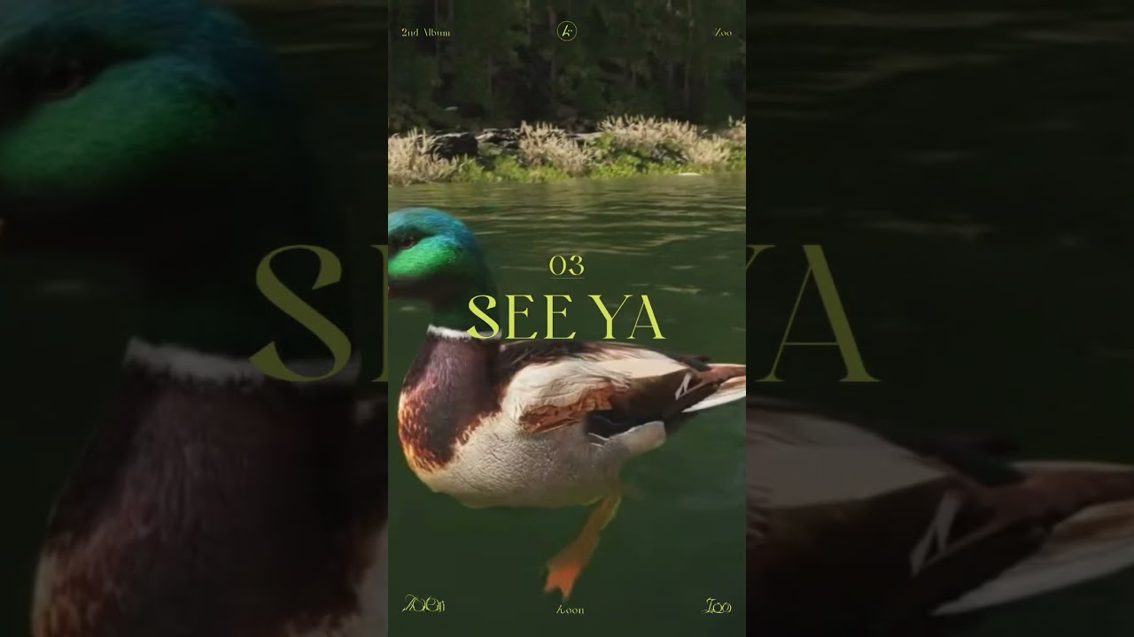 🎵 んoon-SEE YA Music Video Directed by Akihiko Tajniguchi