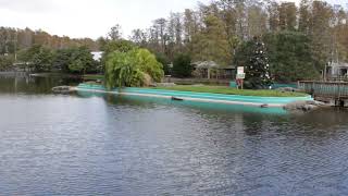 🐊 The Wild Side of Florida! Exploring Gatorland Orlando 🌴