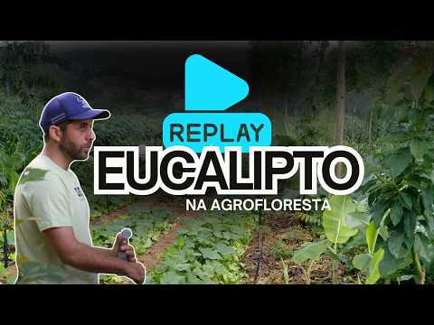 REPLAY - Class 113 - All About Eucalyptus