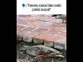 kata siapa? 🗿 #meme #funny #shorts #lucu #bebek #duck #animals #bebek #blikomang #shortsvideo