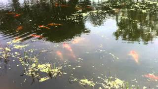 IMG 6140