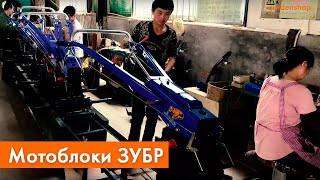Мотоблок Зубр  | Производство мотоблоков в Китае