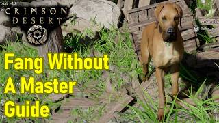 Crimson Desert Fang Without a Master Camp Quest Guide, Take in The Dog That Has Lost Its Owner
This Crimson Desert Fang Without a Master camp quest guide will help players of Crimson Desert take in the dog that has lost its owner for this Crimson Desert camp quest guide.
Socials:
Twitch: https://twitch.tv/kibblesbits
Discord: https://discord.gg/SBQsaQzyM2
Other Crimson Desert Videos:
A Fresh Start Walkthrough: https://youtu.be/8Fi8SxEbjGE
A Gentle Touch Walkthrough: https://youtu.be/X8ZvT_Eqon8
Abyss Without Balance Walkthrough: https://youtu.be/RK8kVgReZOk
Actions Speak Louder than Words Walkthrough: https://youtu.be/OmGUhxSuGYU
Bear Location & How to Ride Bear Like a Mount: https://youtu.be/goe3cS3XD18
Beginners Guide & Early Tips: https://youtu.be/NU6EQe3ILeY
Blinding Flash Guide: https://youtu.be/2LNpepxLQWA
Bloodwind Walkthrough: https://youtu.be/660zdbIk56g
Bluemont Manor Strongbox Puzzle Solution: https://youtu.be/MX45MMtxvn8
Bustling Hill Walkthrough: https://youtu.be/nCIa3KEr3MY
Chapter 1 The First Encounter Walkthrough: https://youtu.be/OviymFR6p-I
Crowcaller Boss Fight Guide: https://youtu.be/jDLLAMwLJvQ
Crowcaller Walkthrough: https://youtu.be/UgHJVxt5uNc
Demenissian Delegation Walkthrough: https://youtu.be/m6Z-awKPbos
Disturbance at the Arena Walkthrough: https://youtu.be/XyyIF9bkluo
Dragon Block Puzzle Solution: https://youtu.be/LlYUYQ3xX5E
Examine the Key from the Old Man Guide: https://youtu.be/HeTiVPLvEJM
Familliar Curses Walkthrough: https://youtu.be/cVLQZSZ1k5A
Fast Travel Guide: https://youtu.be/7EVc6whZDIs
Find the Room the Key Opens (Alchemist Chamber): https://youtu.be/nVhUBEIZZuM
Flames of Greed Walkthrough: https://youtu.be/Vi4qp8WsLGM
For Honor Walkthrough: https://youtu.be/Q9uTWrQULzQ
Gate to the Other World Walkthrough: https://youtu.be/GWUJxLZwwns
Golden Greed Walkthrough: https://youtu.be/UpkKZTCRDi8
Heart Beyond Borders Walkthrough: https://youtu.be/_71zAyqYa5U
Hillside Manor Strongbox Puzzle Solution: https://youtu.be/C-CfeHL7TR0
How to Catch a Fish & Buy Fishing Rod: https://youtu.be/-MQr80AOWJs
How to Go to Hernand Castle & Get Fancy Attire: https://youtu.be/b26aFsvRwzY
How to Hang from Powered Device & Activate with Force Palm: https://youtu.be/X5gtinqa7mk
How to Put Weapon Away (Even During Combat): https://youtu.be/9hr6To0gpRg
How to Steal & Pickpocket: https://youtu.be/w8LKyS87jvk
How to Use Animal Corpses: https://youtu.be/h2xNOvBWuVM
Hwando (Katana) Location Early Game: https://youtu.be/ct7m7s4yyr8
Kearush the Slayer Boss Fight Guide: https://youtu.be/7s0xxrG0AD8
Kiln Repair at Kilndnen Workshop Guide: https://youtu.be/foMLk42Wt_o
Legendary Horses Guide & Locations: https://youtu.be/C7lp_dxAZGY
Nonhuman Walkthrough: https://youtu.be/wglJCUytuYE
Meat Farming Spot & Early Money Farm: https://youtu.be/EZfITJiyeRI
Memory Fragment Walkthrough: https://youtu.be/8d9k8YrX0hQ
Missing Companion Walkthrough: https://youtu.be/EvuqXYhyX8o
Missing Seal Walkthrough: https://youtu.be/IS-PsXC0qg4
Mysterious Man Quest Walkthrough: https://youtu.be/dhd7bkfemL8
Mysterious Pot Walkthrough: https://youtu.be/1xHX7sysq2U
Mystical Key Full Quest Walkthrough: https://youtu.be/jzj86nD06Es
Polar Opposites Walkthrough: https://youtu.be/F-ukOT4mbcM
Rebellion or Revolution Walkthrough: https://youtu.be/nFb5RpoIpV0
Reed Devil Boss Fight Guide: https://youtu.be/XIHgubXatq8
Remaining Chains Walkthrough: https://youtu.be/TqschKupKFU
Return of the Comrade Walkthrough: https://youtu.be/mGUqeg7x_4Y
Reward for Their Sweat Walkthrough: https://youtu.be/5ebx5x-OO10
Reunion Walkthrough: https://youtu.be/5gXE-T1hNGU
Secrets Hidden in the Dark Walkthrough: https://youtu.be/bcOGtXj-ou0
Seed of Unease Walkthrough: https://youtu.be/ORcdRo83QKI
Shadow Casted Over the River Walkthrough: https://youtu.be/g4YQJT8QOrc
Skilled in Archery Walkthrough: https://youtu.be/Rk8wqz5Tahw
Spire of the Stars Walkthrough: https://youtu.be/C2kk4fgWXDk
Stolen Quarry Guide: https://youtu.be/8oNepXP3rVQ
Tenebrum Boss Fight Guide: https://youtu.be/zjtiz-lqtuE
Tips & Tricks (QOL Upgrades, Combat Tips, Get Early Food & Gold): https://youtu.be/UznfzKLLOZM
Toward the Nest Walkthrough: https://youtu.be/yq3d3NLEaQM
Traces in the Manor Walkthrough: https://youtu.be/eo9jvUvxH28
Trial After Trial Walkthrough: https://youtu.be/hXGVlqcGNvk
True Wisdom in Kindness Walkthrough: https://youtu.be/wNuBorCnxRU
Unfamiliar Lands and In Ashes Walkthrough: https://youtu.be/064LlXbmp68
Unwelcomed Guests Walkthrough: https://youtu.be/VB8XTDjNMlY
Where Misery Gathers Walkthrough: https://youtu.be/tecGXYXx_1E
Where the Light Leads Walkthrough: https://youtu.be/q1o05rZZ400
Where Rumors Gather Guide / Arm Wrestling: https://youtu.be/io1UZm5ecOI
Woman in White Walkthrough / Glide Ability: https://youtu.be/jFWQ4hi Crimson Desert Fang Without a Master Camp Quest Guide, Take in The Dog That Has Lost Its Owner