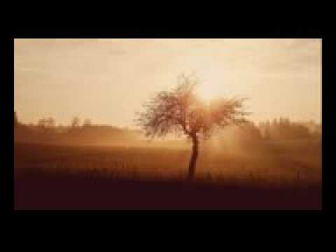 صوت هادئ جميل غايه