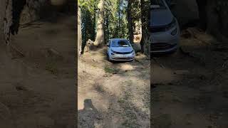 Tata Altroz off roading… ground clearance test😄 no touching at all😱😨 screenshot 5