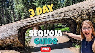 Sequoia National Park 3-Day Guide (2025) Hidden Gems + The Largest Tree in the World