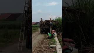 Demi Uang Aku Rela