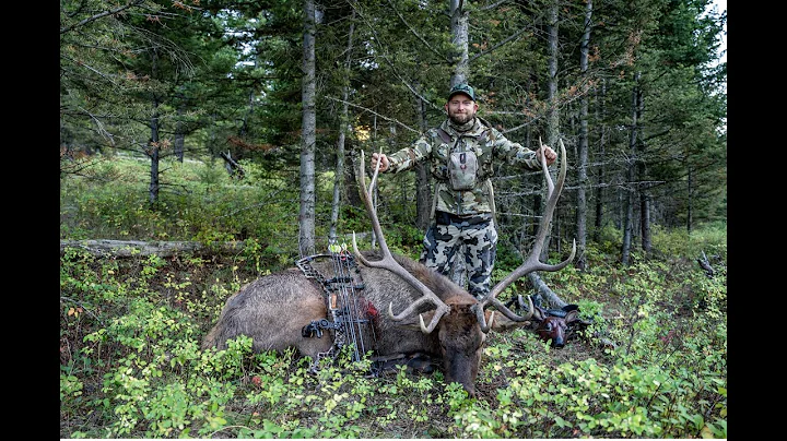 The Unexpected Bull!
