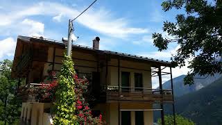 Dolomiti - Pieve di Cadore - Italy