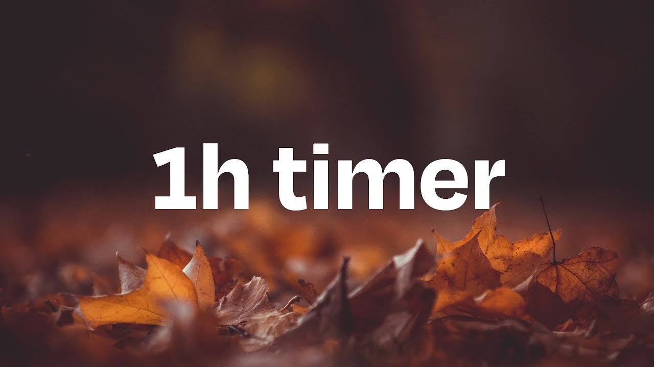 1h Autumn Leaves timer 🍁  | no music | with crunchy leaves 🍂  alarm