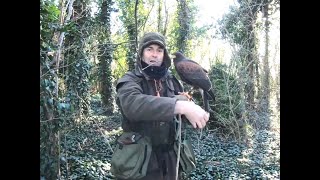 A FALCONERS SONG,  SH.T WHERE HAS ME GARDEN GONE