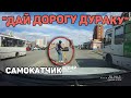 Автоподборка &quot;Дай Дорогу Дураку&quot;🚦Самокатчик#385