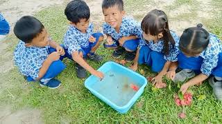 Eksperimen sains mengenal benda Tenggelam dan terapung