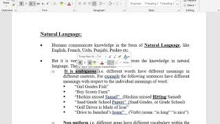 Knowledge Representation | Lecture #28 Net Worth