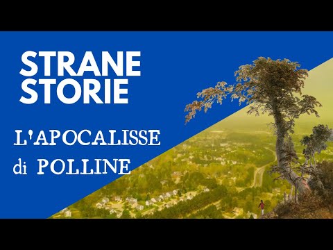 L&rsquo;APOCALISSE di POLLINE