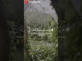 و لئن أطعتم بشرا مثلكم إنكم إذا لخاسرون هيهات هيهات ياسر الدوسري سورة المؤمنون 