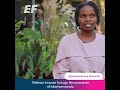 Alumni Success Stories