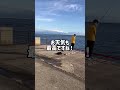 夕方はママカリタイム♪ fishing max武庫川店