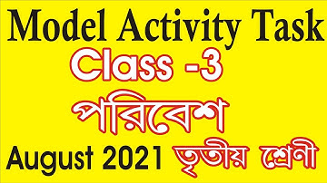 class 3 environment পরিবেশ model activity task 2021 l Class 3 Environment Model activity task