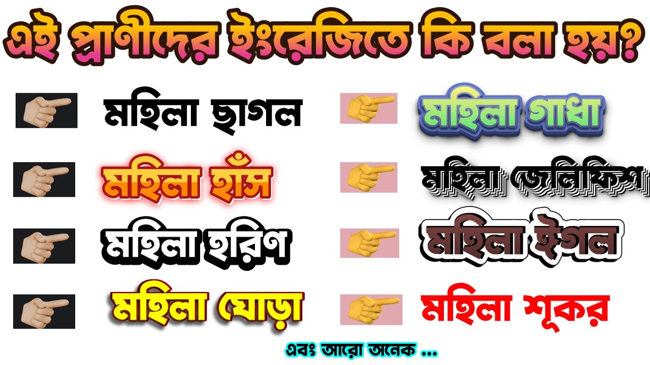 Bumper GK bangla gyan l Bengali Gk I Bangla Gk Question and Answer I