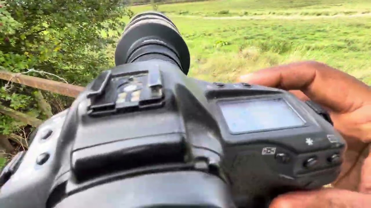 #wildlifephotography