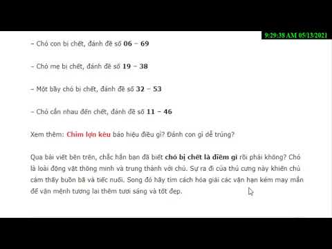 Video Chó chết đánh con gì,Chó đen chết đánh con gì,Chó bị... - youtube