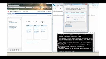 SBM: Restarting License Server and how concurrent licenses are handled.