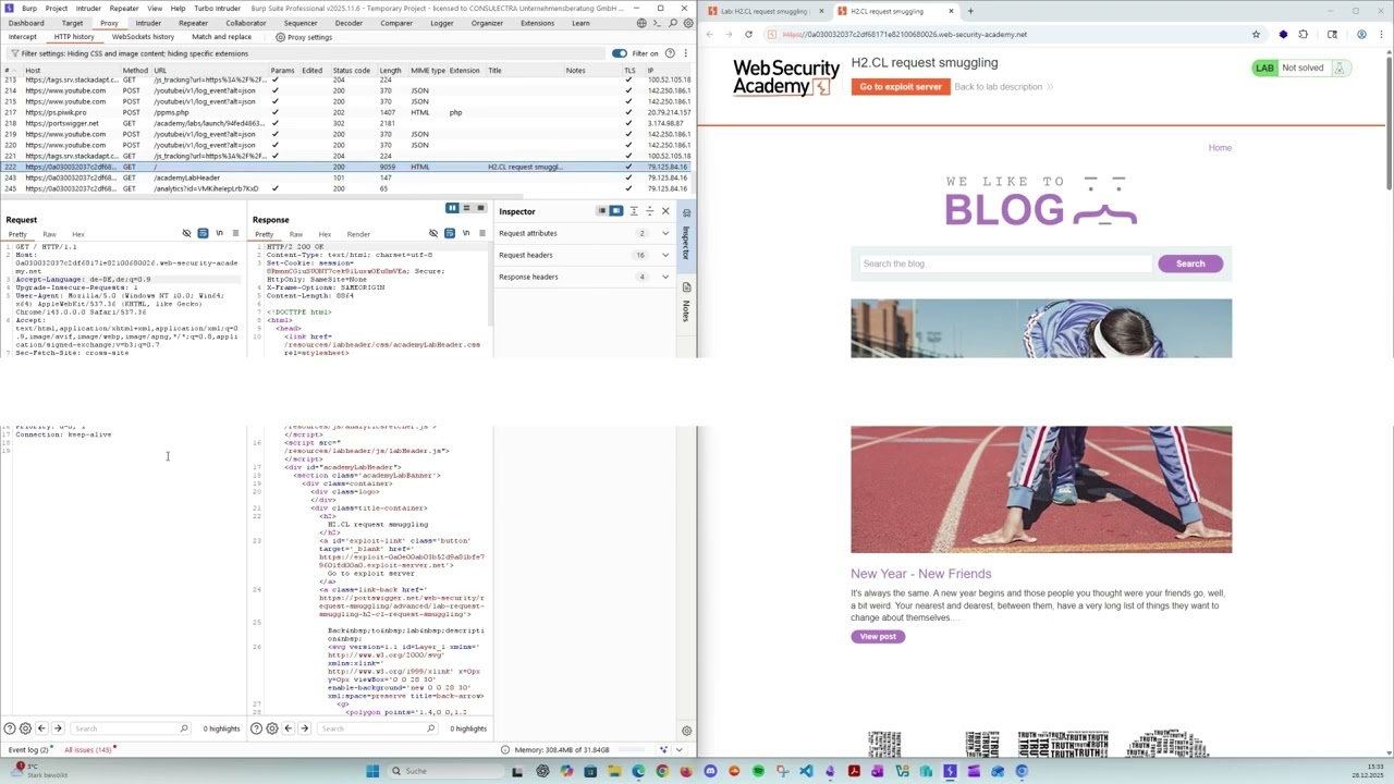 Лаборатория контрабанды HTTP-запросов011