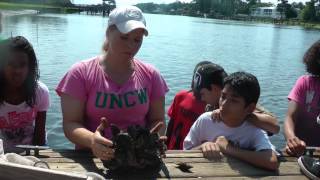 St. James Plantation: Oyster Reef Conservation Community Project