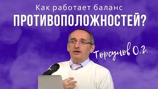 видео: Как работает баланс противоположностей? Торсунов лекции картинка: Как работает баланс противоположностей? Торсунов лекции