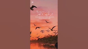 القران الكريم #القرآن_الكريم #تلاوة_خاشعة #اكسبلور #الجزائر #duet #المغرب #راحة_نفسية