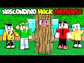 NASCONDINO CON LE HACK DELL'INVISIBILITA' SU MINECRAFT