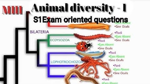 | Ku BSc Botany - Complementary Zoology  S1 Exam oriented questions |P1 | Module - III |