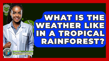 What Is The Weather Like In A Tropical Rainforest? - Earth Science Answers