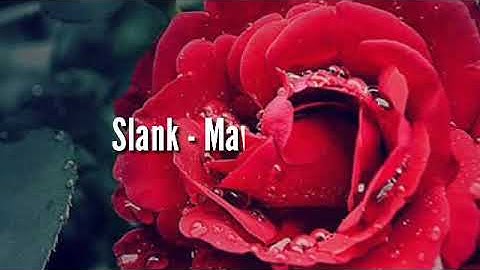 Download Video Story Wa Slank Mawar Merahku Mp3 Free And Mp4