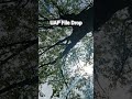 Trees heal.