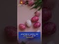 The Meaning of Easter: From Holy Week to the Global Celebration