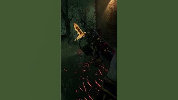 first encounter with maybe a hacker? #dbd #deadbydaylight #gunslinger #hacker