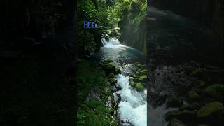 ||Feel the song 🎶🎵|| Mind relaxing music of Ek villian. #mindrelaxing #banjarekoghar #viral😱