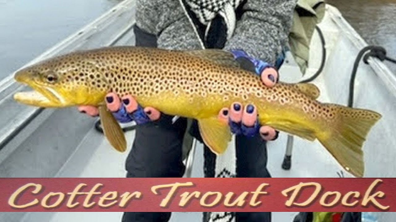 January 19, 2022 Arkansas Trout Fishing Report