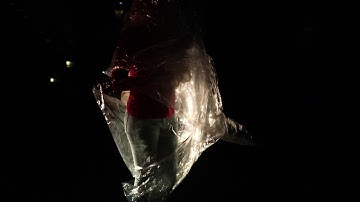 Embodied spaces 5 min film