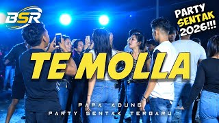 BASS PARTY🔥- TE MOLLA SENTAK -_Papa Adung_- REMIX