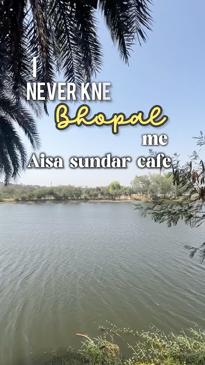 Such a beautiful cafe in Bhopal !!! Wild cafe !!! #bhopalfood #bhopalfoodies #bhopalcafe #wildcafe